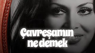 Çavreşamın ne demek [upl. by Ramsa]