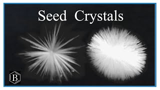 Seed Crystals in real time [upl. by Aenat]