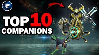 Warframe Top 10 Companions 2024 [upl. by Ijar345]