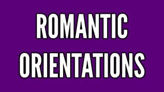 Romantic Orientations  Everythings A Okay Video 3 [upl. by Nylyoj920]