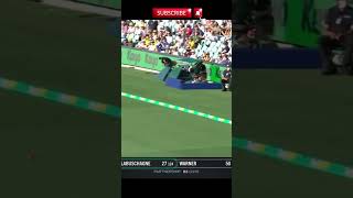 Beauty of Marnus Labuschagne foryou trendingshorts cricketshorts cricket trending [upl. by Atla]