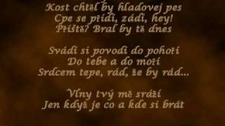 Aneta Langerová  Srdcotepec LYRICS [upl. by Arretnahs]