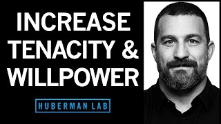 How to Increase Your Willpower amp Tenacity  Huberman Lab Podcast [upl. by Roselane]