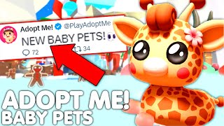 😍NEW BABY PETS UPDATE😱 ADOPT ME NEW BABY GIRAFFE WINTER PET IDEAS CONCEPTS ROBLOX [upl. by Elleirua]