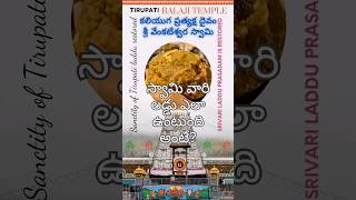 స్వామి వారి లడ్డు ఎలా ఉంటుంది అంటే tirumala tirupatibalaji shorts [upl. by Bonnibelle476]