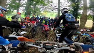 Proride Enduro 2024  Round 6 Newry  Big wood [upl. by Freemon]