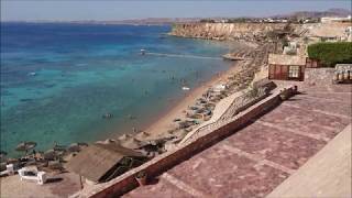 Sharm elSheikh Snorkeling reef hotel Jaz Fanara Resort December 2019 [upl. by Antons]