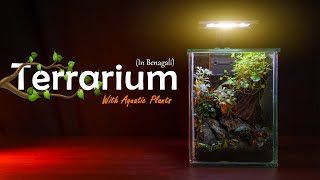 Terrarium Making With Aquatic Plants🍀 খুব সহজে বানিয়ে ফেলুন [upl. by Amron]