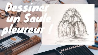 COMMENT DESSINER UN SAULE PLEUREUR [upl. by Car969]