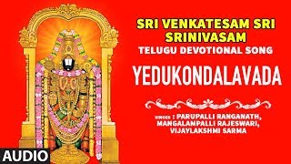 Lord Venkateswara Song► Yedukondalavada  Sri Venkatesam Sri Srinivasam  Tamil Devotional Song [upl. by Sivia]