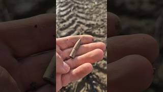 I found a bullet metaldetecting metaaldetectie ww2 shorts [upl. by Felicie]