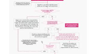 Algoritmo Diagnostico de Sífilis Dr Andres Cabrera [upl. by Daniyal987]