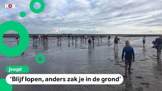 Wadlopen is superpopulair deze zomer [upl. by Lauro115]