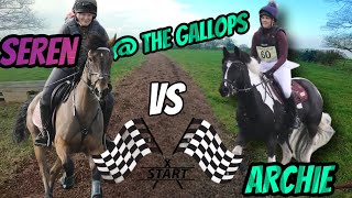 THE WHIZZY WELSHS FIRST TIME AT THE GALLOPS [upl. by Arreip]