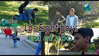 Los Eight Boys en el zoo [upl. by Jordan402]