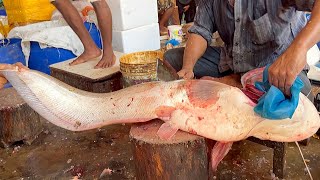 Amazing Giant Wallago Attu Boal Fish Cutting In Fish Market  Fish Cutting Skills [upl. by Koeninger50]