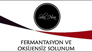 ARŞİV 10 Fermantasyon ve Oksijensiz Solunum  12 Sınıf Biyoloji AYT 33 [upl. by Niala]