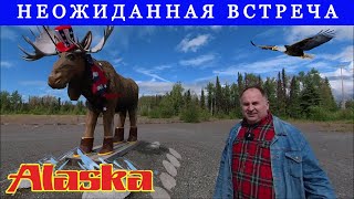 Аляска Гигантский Лось из Дерева Soldotna USA [upl. by Mitch]