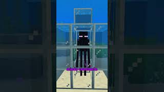 Cómo torturar a un enderman en Minecraft 🤫 [upl. by Ardnait]