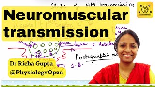 Neuromuscular junction transmission physiology [upl. by Cristi]