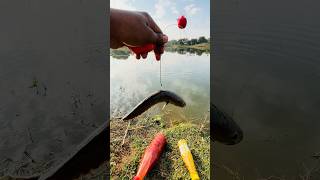 Best Carp Bait  new fishing technique PART1 fishing uniquehookfishing fishingmethods shorts [upl. by Aisital]