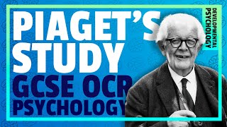 PIAGETS STUDY OF CONSERVATION  Developmental Psychology OCR GCSE [upl. by Weaver32]