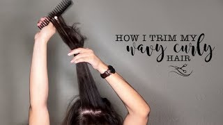 Trimming My Wavy Curly Hair  Type 2 Hair  DiY [upl. by Utta424]