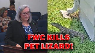 FWC Kills Pet Lizard Spotted In Orlando Yard [upl. by Toy769]