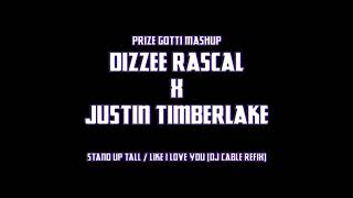 PrizeGotti MashUp  Dizzee Rascal  Stand Up Tall Like I Love You  DJ Cable Refix [upl. by Mittel]