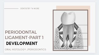 PERIODONTAL LIGAMENT PART 1 [upl. by Abraham]