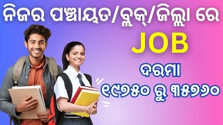 Job vacancy 2024  Odisha Block Level Job 2024  odishagovtjob [upl. by Nera522]