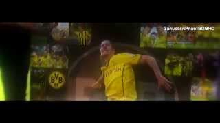 Robert Lewandowski  Time Of Your Life  Borussia Dortmund 201014  HD [upl. by Zabrina]