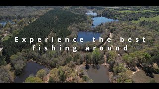 Ozark Alabama Peak Fish Farm [upl. by Kensell]