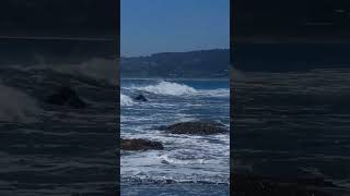 Punta de Lobos Pichilemu Surf capital of Chile travel travelbook nature chile beach surfing [upl. by Hoisch346]