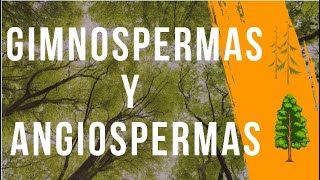 Las plantas GIMNOSPERMAS y ANGIOSPERMAS explicación COMPLETA [upl. by Wamsley]