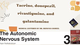 Tacrine Donepezil Rivastigmine Galantamine  Indirect Acting Cholinergic Agonists  Lippincott [upl. by Naillimxam]