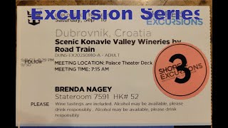 Konavle Valley wineries by road train Excursion [upl. by Alleuqcaj]