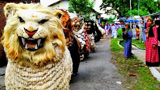 ASMR lion dance and drumband parade in the village  can macanan singo raung diundang ulang tahun [upl. by Eanej]