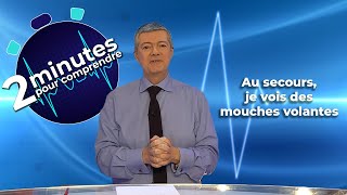 Au secours je vois des mouches volantes  2 minutes pour comprendre [upl. by Garbers]