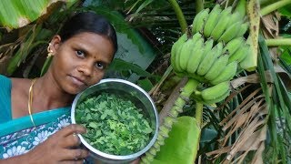 Quick Drumstick Leaves Poriyal  Murunkai keerai Poriyal  சுவையான முருங்கைக்கீரை பொரியல் [upl. by Fawn]