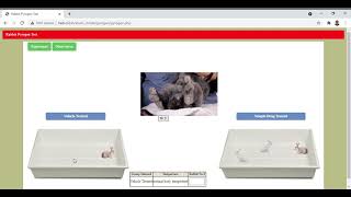 Part II of Test for pyrogens by Rabbit method By ExPharm software [upl. by Herschel]