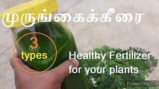 Murugai keerai fertilizer for plants in Tamil।।Organic fertilizer।। Liquid fertilizer Tamil [upl. by Ahsatsan]