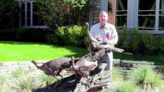 Sculptor Walter Matia discusses quotThree Wild Turkeysquot at the Woodson Art Museum [upl. by Putnem639]