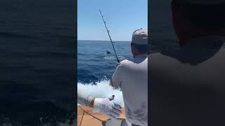 Marlin on stand up  Oregon Inlet NC  Outer Banks fishing with End Game [upl. by Joyce]