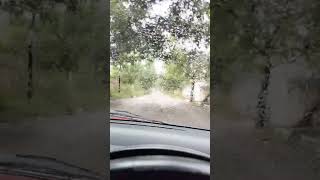 Beevi 😀 youtubeshorts drive rain [upl. by Oicram605]