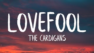 The Cardigans  Lovefool Lyrics [upl. by Stricklan]