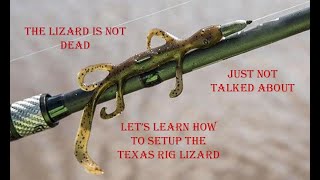 Fishing 102  How to Texas Rig a Lizard [upl. by Arzed327]