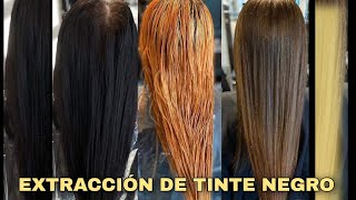 EXTRACCIÓN DE TINTE NEGRO Explicación Técnica COLORIMETRÍA [upl. by Attaymik]