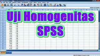 Uji Homogenitas Levene Statistics dengan SPSS Sangat Lengkap [upl. by Nytsuj]