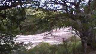 Pyroclastic flow from Soufrière Hills volcano Montserrat [upl. by Elgna]